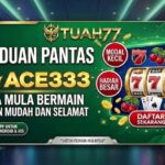 Panduan Pantas Ace333